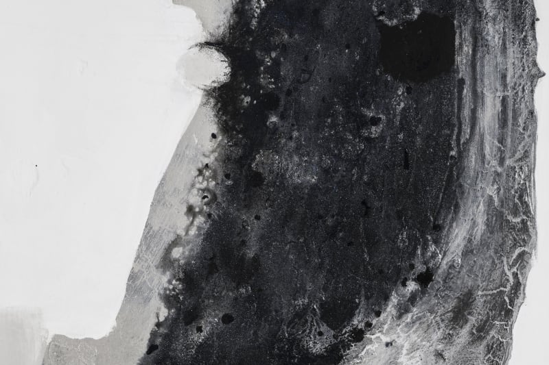 Suzanne McClelland Mute V, 2019 (detail) Dry pigment, archival glitter, polymer on canvas 40 x 30 inches 101.6 x 76.2 cm