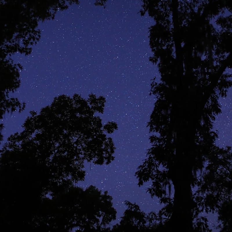 Allison Janae Hamilton Celestine (Florida Storm) [film still], 2024 Single-channel film with color and sound Total runtime: 12:16 Edition of 5 plus 2 artist's proofs (#1/5) (AJH.21439)