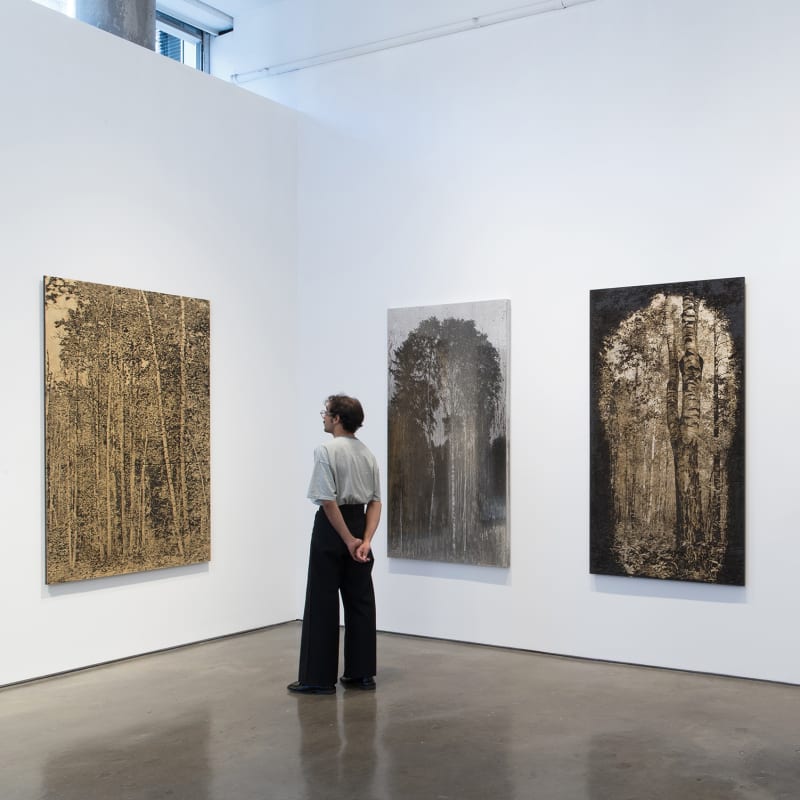 Installation View | Matthew Brandt:Carbon, Birch, Silver, Rooms Featured Artworks: Matthew Brandt (American, b. 1982) BirchSP11A, 2021 Pyrograph on birch plywood with gold leaf 71" x 41" x 3/4" (180.5 x 104 x 2 cm) (MBr.22887) Matthew Brandt (American, b. 1982) AgXSP9B, 2021 Silver on Silver Gelatin Print, Mounted on Aluminum 70 3/4" x 41 1/2" x 1 3/4" (180 x 105.5 x 4.5 cm) (MBr.22895) Matthew Brandt (American, b. 1982) BirchSP06A, 2021 Pyrograph on birch plywood with gold leaf 71" x 41" x 3/4" (180.5 x 104 x 2 cm) (MBr.22852)
