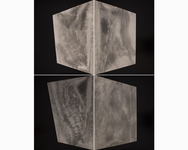 Alison Rossiter (American, b. 1953) Eastman Kodak Polycontrast F, expired September 1977, processed 2017, 2025 Four Gelatin Silver Prints Dimensions, each element: 20" x 16" (51 x 40.5 cm) Framed: 45 1/2" x 37 5/8" (116 x 96 cm) Unique (AR.25447)