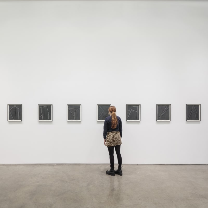 Installation View | David Goldes: Electricities