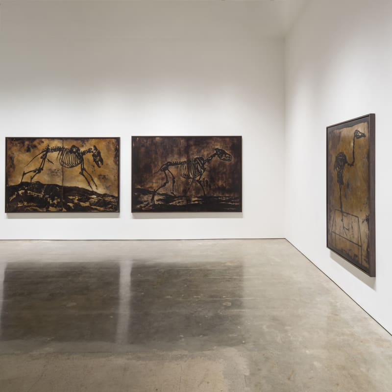 Installation View | Matthew Brandt: Excavations