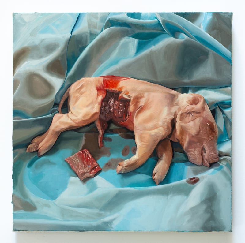 Linus Borgo (American, b. 1995) Hepatoscopy, 2023 Oil on Canvas 18" x 18" (45.5 x 45.5 cm)