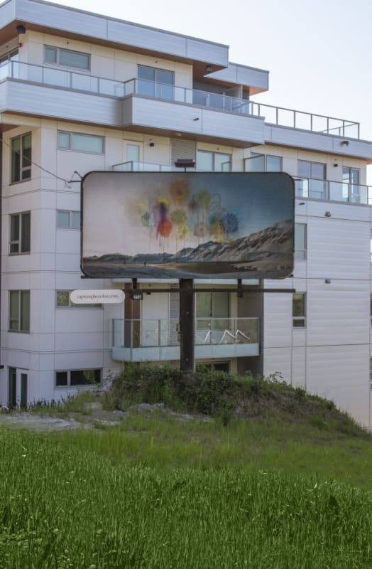 Sarah Anne Johnson at Capture Photography Festival