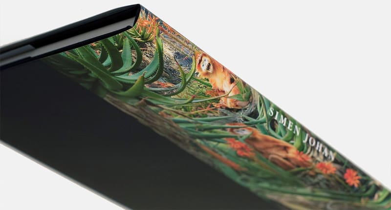 New Monograph by Simen Johan