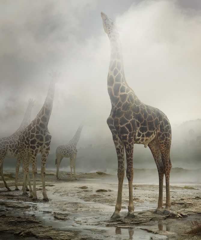 Simen Johan at Center for Photography, Yekaterinburg