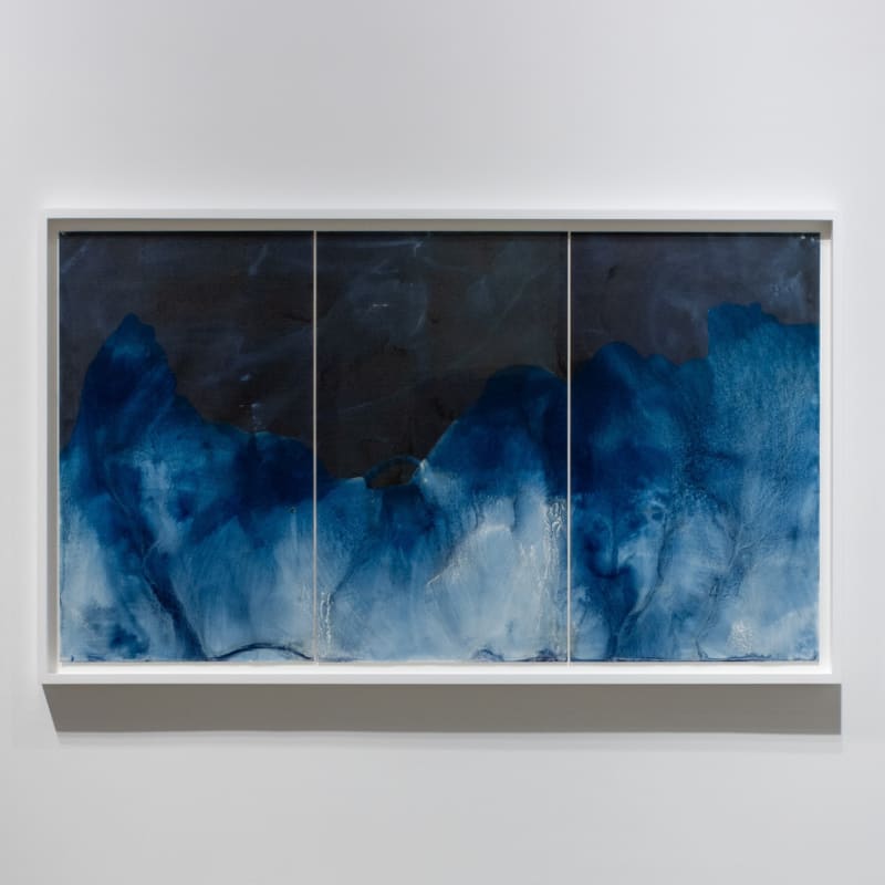 Museum of Fine Arts Boston Acquires work by Meghann Riepenhoff