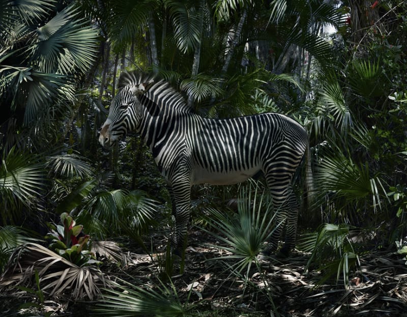 Simen Johan (Norwegian, b. 1973) Untitled #181, 2015 Digital C-Print Available in Two Sizes