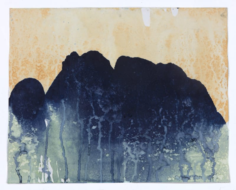 Meghann Riepenhoff (American b. 1979) Ecotone #285, Washington, 2017 Dynamic Cyanotype 19” x 23 13/16” (48.5 x 60.5 cm) (MRie.20286)