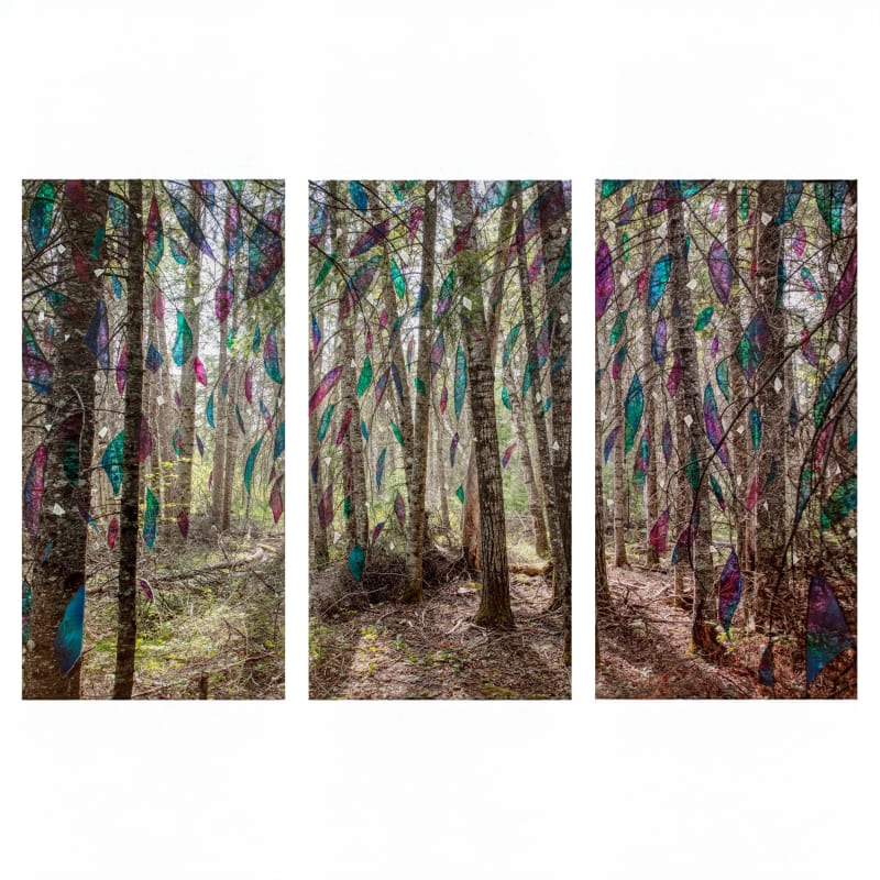 Sarah Anne Johnson (Canadian, b. 1976) MBFR, 2021 Three Pigment Prints with Oil Paint Image: 70” x 35” (178 x 89 cm) each element Overall: Approximately 75” x 110” (190.5 x 279.5 cm) (SAJ.22920)