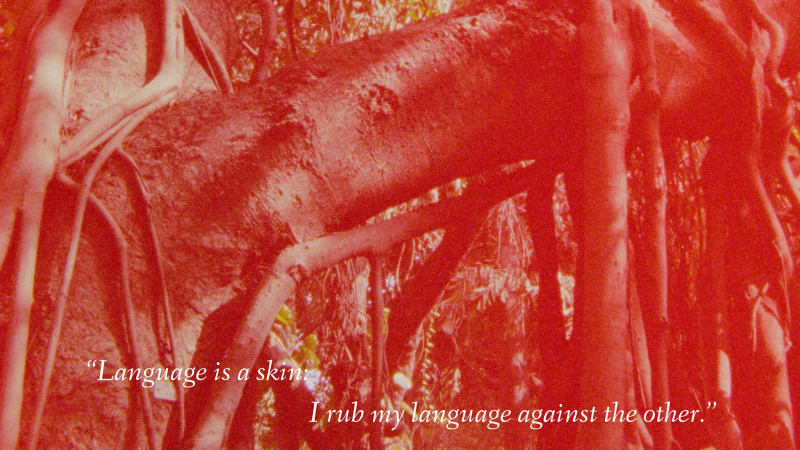 "Landscapes of Longing" Film included in MoMA's New Directors/New Films Festival