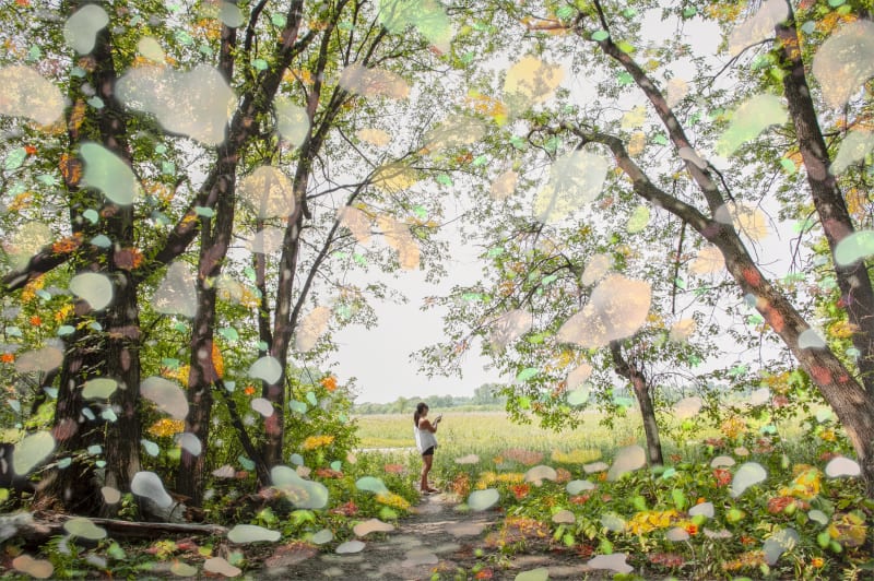 Sarah Anne Johnson at Yale University Art Gallery