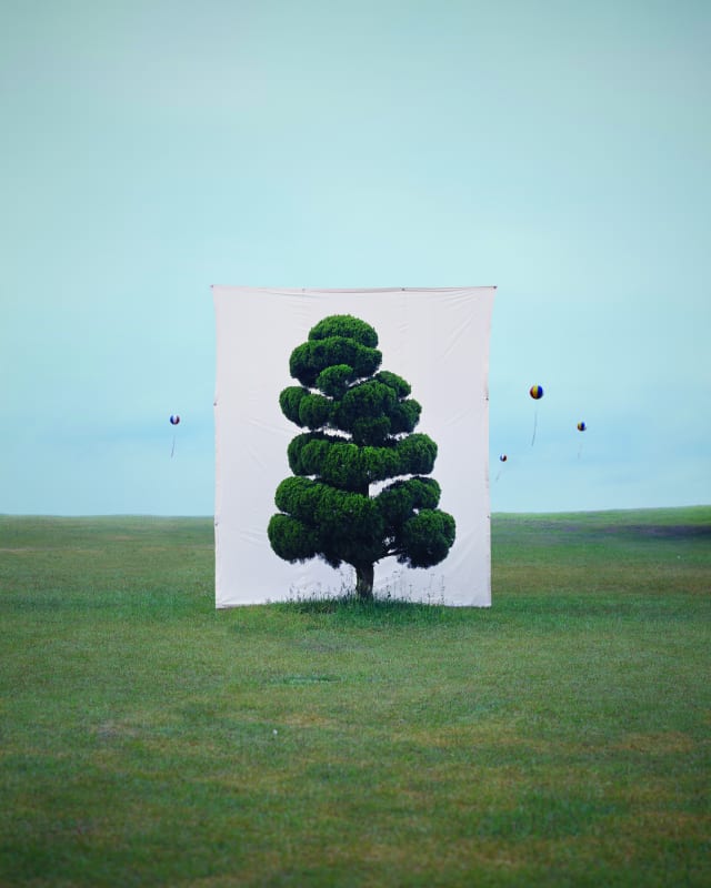 Myoung Ho Lee, Tree #2, 2006