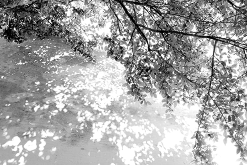 LUCIA MINDLIN LOEB: MEMÓRIA FOTOGRÁFICA