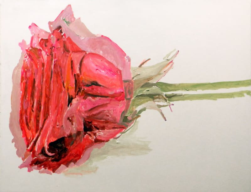 Duas Rosas Deitadas, 2017