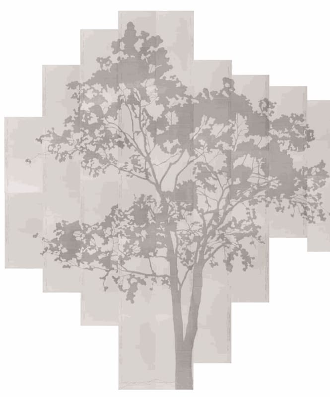 Johanna Calle no Kunsthaus Baselland