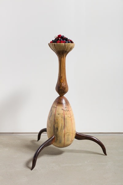 Zé Carlos Garcia na 22ª Bienal SESC Videobrasil