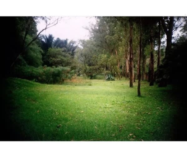 RAQUEL GARBELOTTI NO INHOTIM