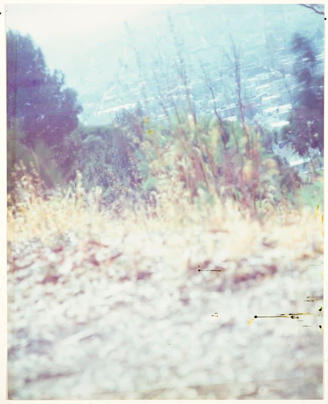 John Chiara – Lands End: Starr King