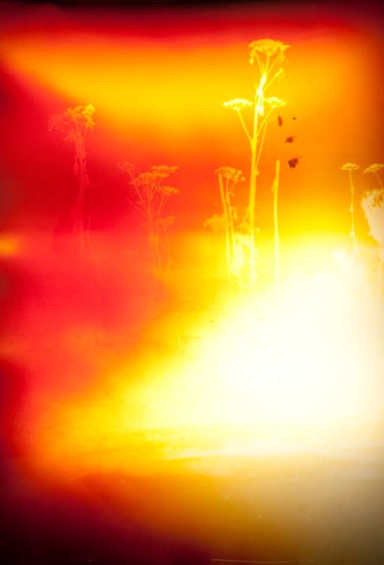 John Chiara – Point Bonita