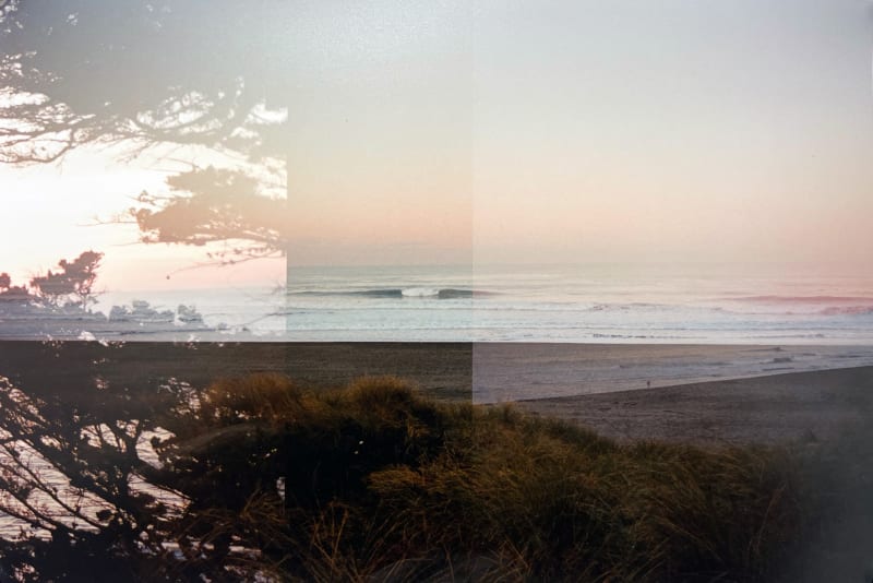 Iris Robert, Shadow of a Cypress Tree on a Tuesday Morning