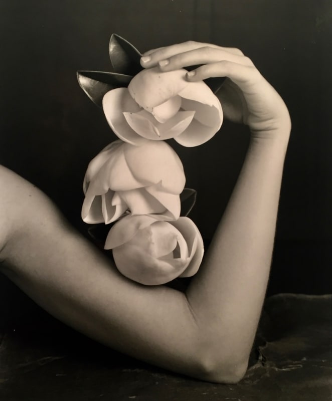 Black and white image of three magnolias resting on a woman's bicep on a black background.