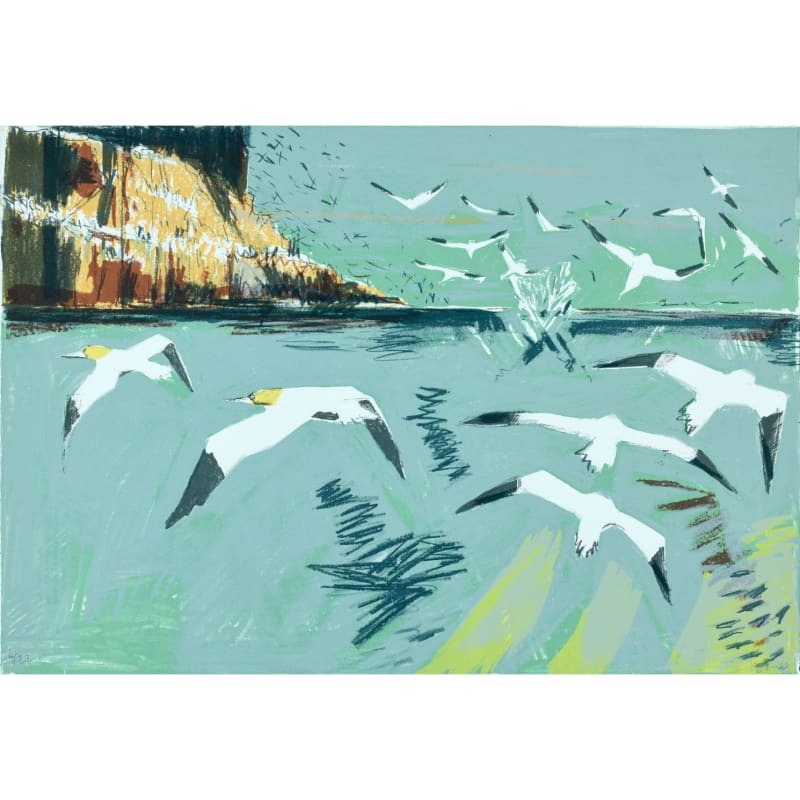 Kittie Jones, Gannets Around the Bass, 2024