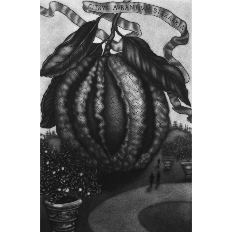 Jodi Le Bigre, Citrus Aurantium Bizzaria, 2017