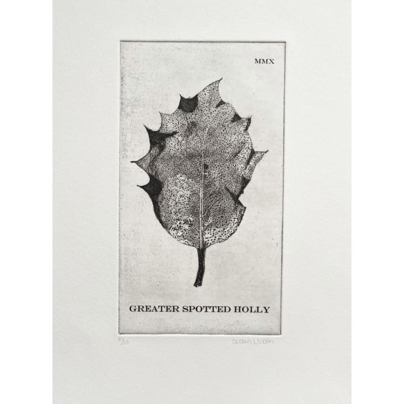 Susan Wilson, Greater Spotted Holly, 2025