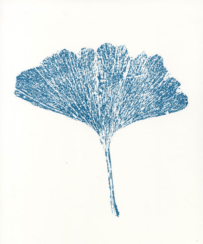 Lindsay Hutchison, Ginkgo Blue, 2024