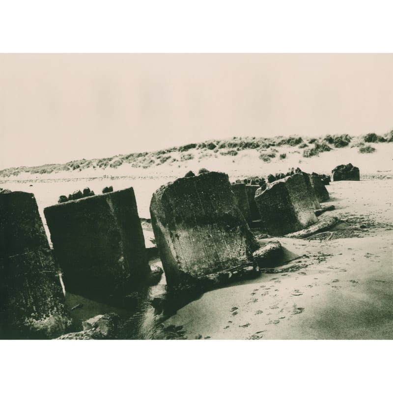 Sonia Mehra Chawla, Ruins Are Portals I , 2020