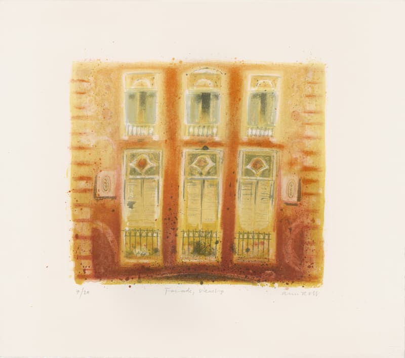 Ann Ross, Facade, Veneto, 2004