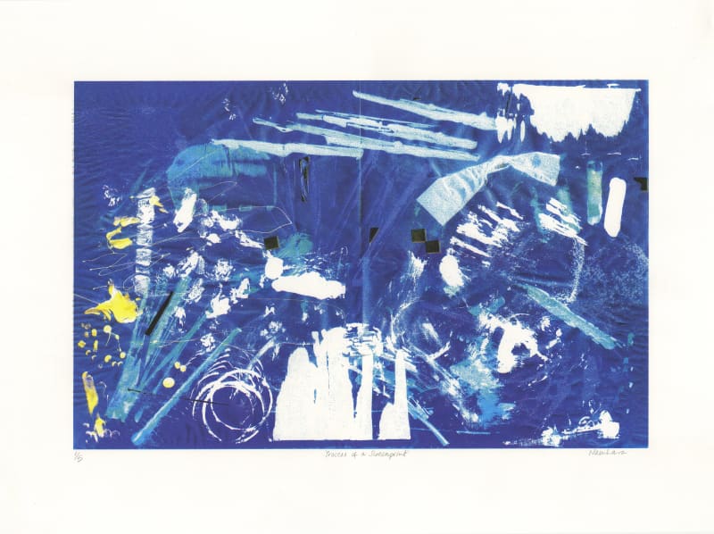 Namhara Byron Low, Process of a Screenprint, 2024