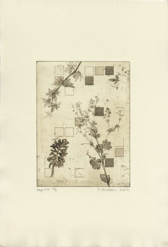 Elaine Allison, Imprint, 2022