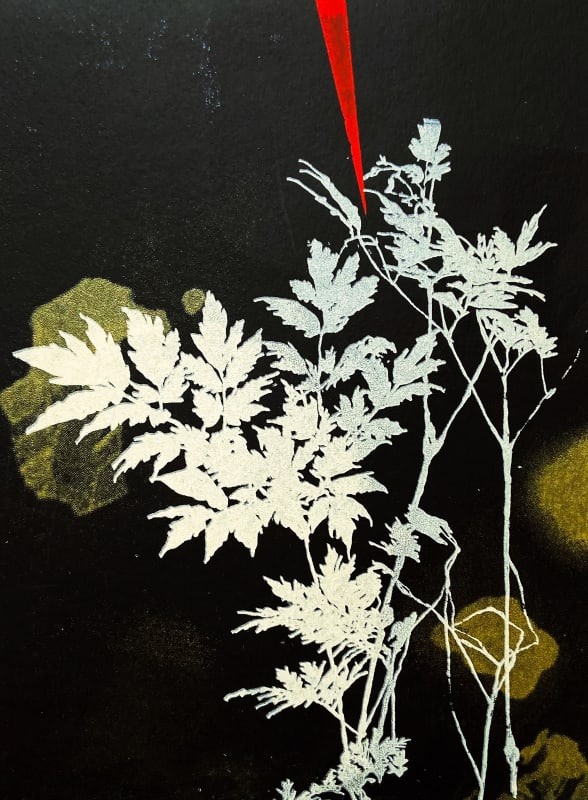 Ingrid Bell, Tree of Hope, 2024