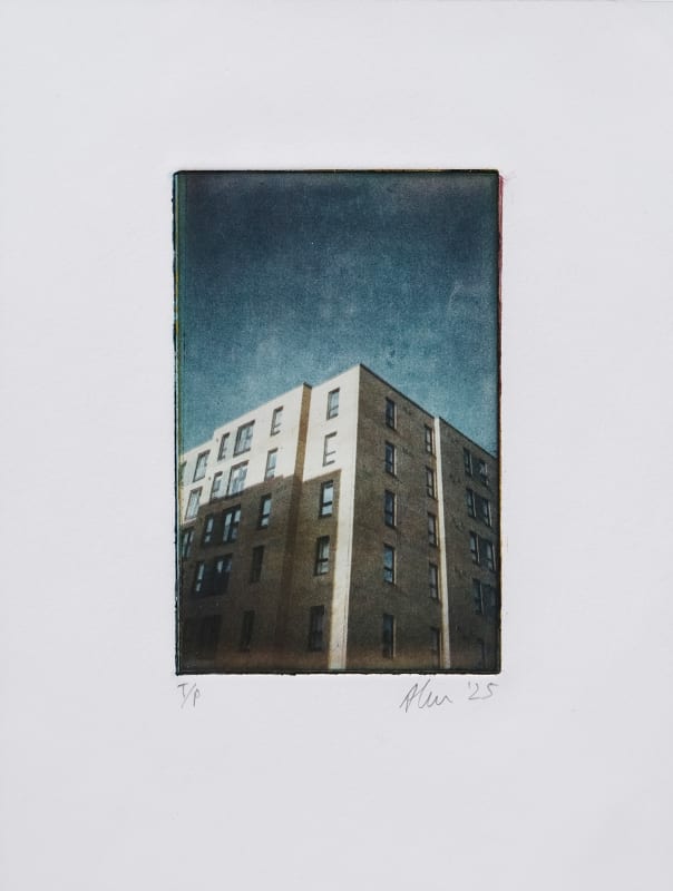 Alister Hayes, New-Build, 2025