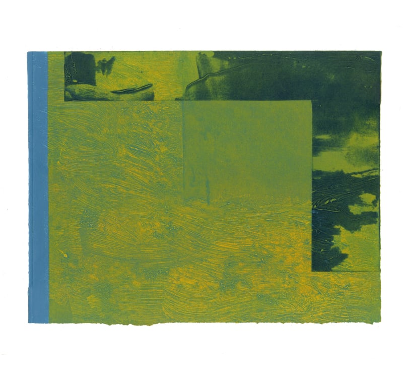 Joy Arden, Clouded Greenery, 2023