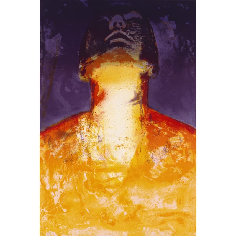 Graham Dean, Decoy, 2001