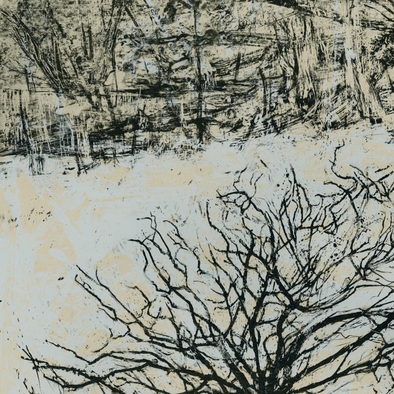 Victoria Crowe Print Launch Event, 'Stillness'