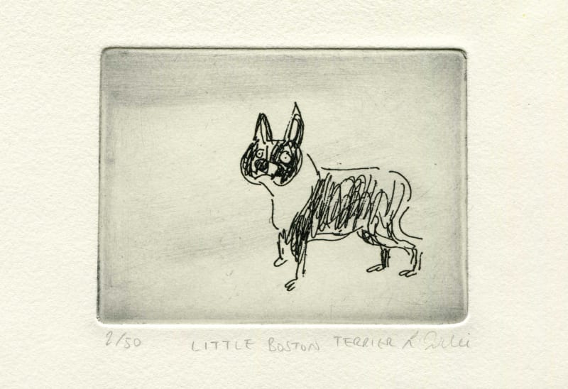 Louise Wilde, Little Boston Terrier