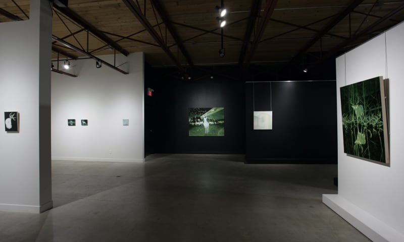 Gordon Harper: Tree Island