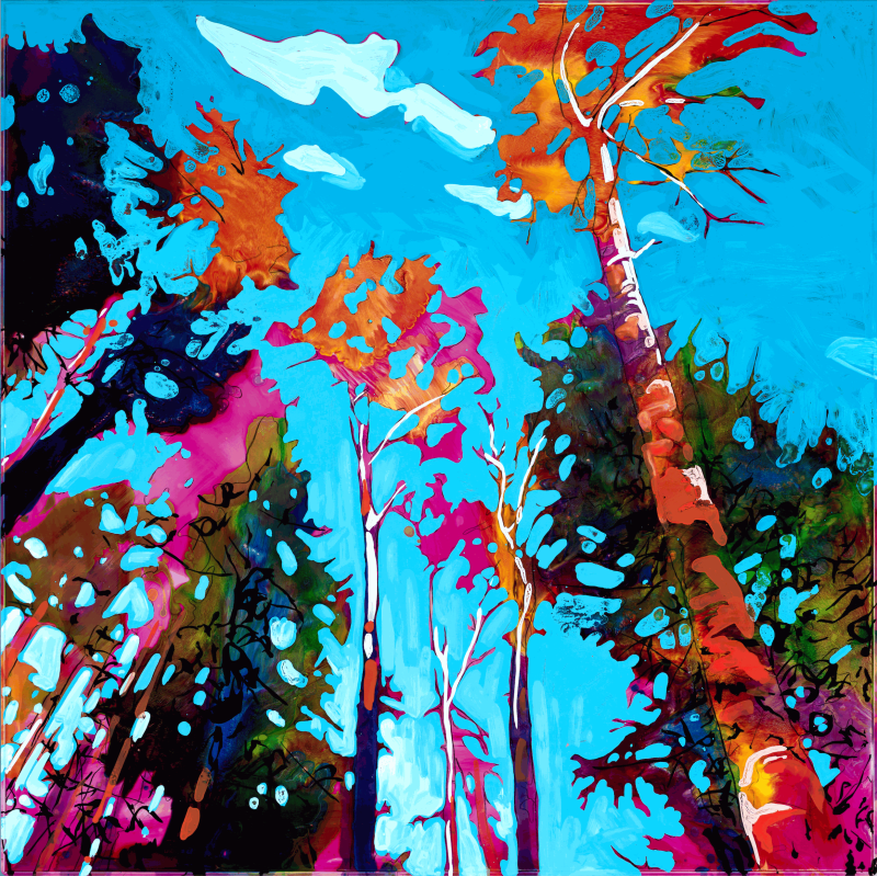 Steve Driscoll: A Promise of Coming Warmth