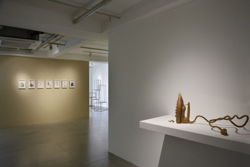 WITHIN CONFINES, SHIVANI AGGARWAL