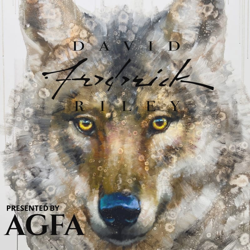 Evening's With David Riley, Artist Talk