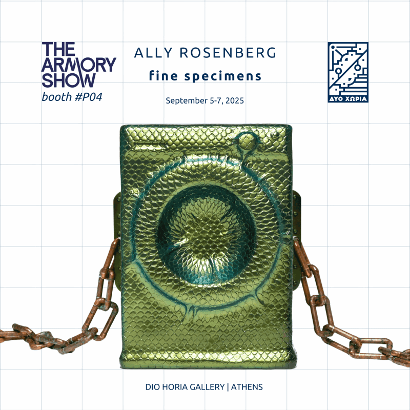 THE ARMORY SHOW, 2025, Ally Rosenberg