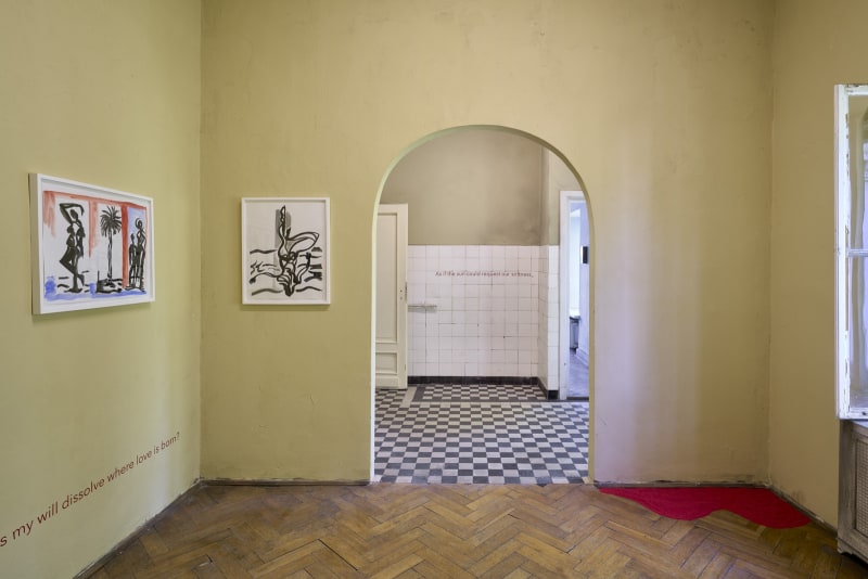 Mira Dancy | NADA Villa Warsaw 2024, Solo Project