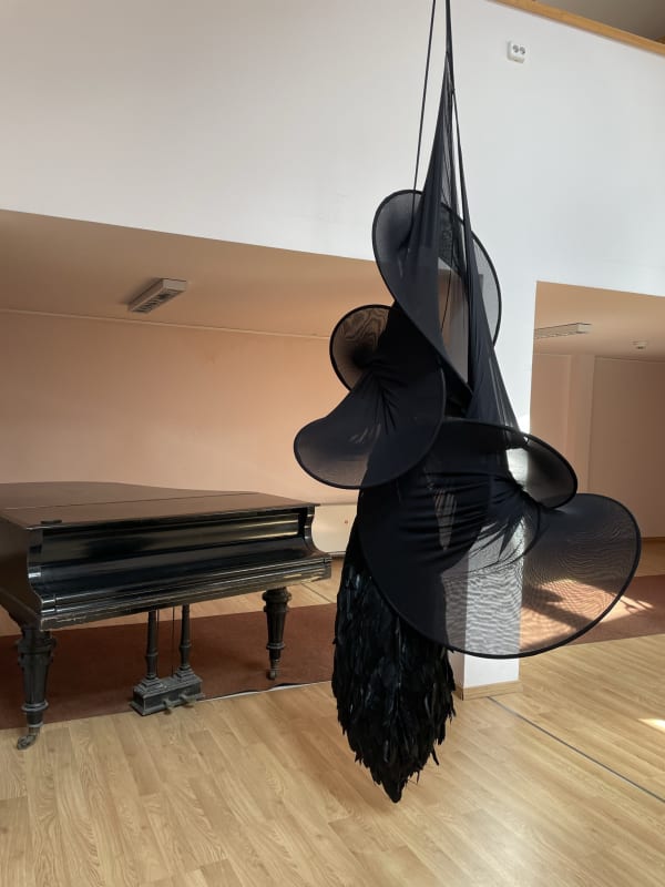 ALINA ALDEA - CONDITION: INSIDE OUT, Filipescu - Cesianu House – Museum of Ages, Calea Victoriei 151, Bucharest