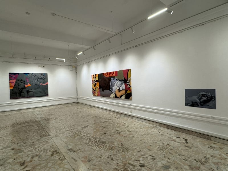 ALEXANDRU RĂDVAN: Skin to Skin, Museum of Art Constanta - B-dul Tomis, No. 82-84, Constanta, RO