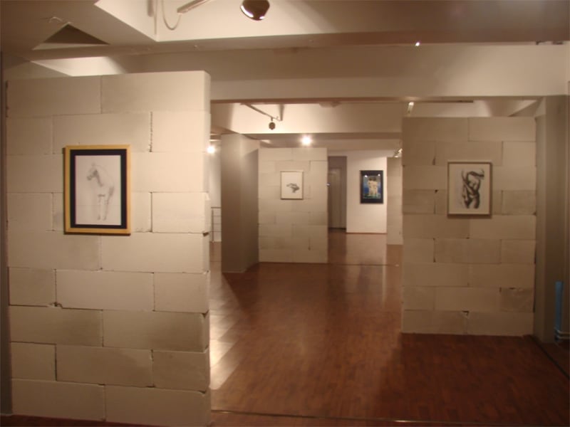 ALEXANDRU RĂDVAN: WOND’RING ALOUD