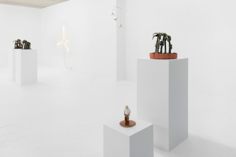 Omdat De Wereld Is Zo Ontrouw, Solo Exhibition by Daan Gielis